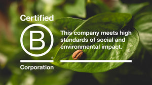 Discovering the Power Of Purpose