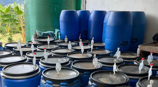 What Is Anaerobic Fermentation?
