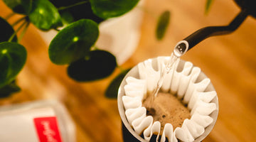 Common Brewing Mistakes
