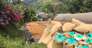Farm Fresh Coffee
