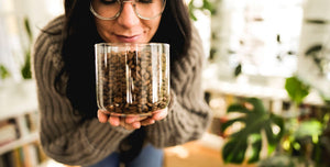 Why Fresh Coffee Matters