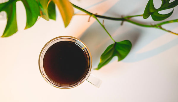 Understanding Coffee Extraction