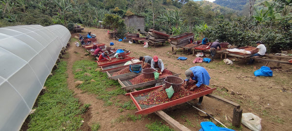 4 Things About Sourcing You May Not Know