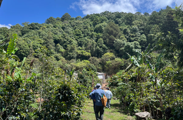 Ben's Visit To Honduras