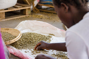 Women in Coffee