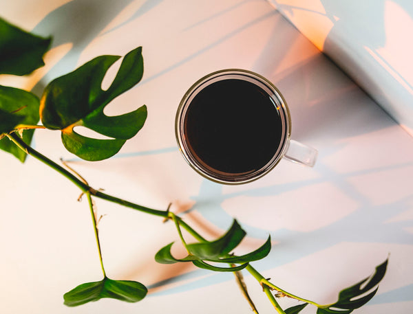 Exploring Coffee Around the World: Finland