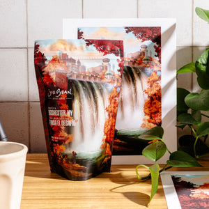 Artist Series Bundle