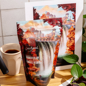 Artist Series Bundle