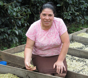 NICARAGUA BLANCA NIEVE