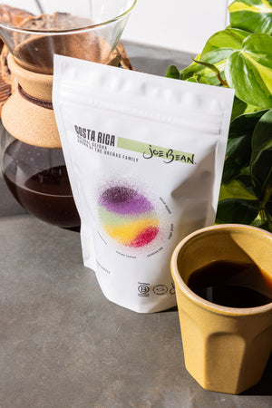 Costa Rica Natural Geisha (PRE-ORDER)