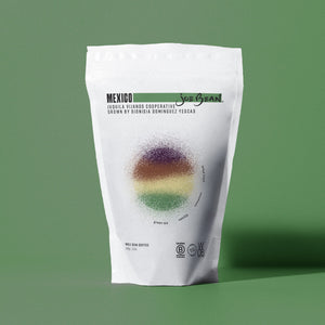 Mexico Dionisia Dominguez Yescas