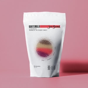 GUATEMALA LA REVUELTA