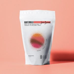 GUATEMALA MONTE DE ORO MARACATURRA