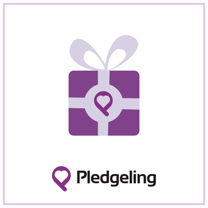 Donation to The Bridge Project